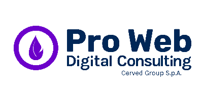 Pro Web Consulting