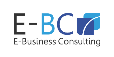 E-BUSINESS CONSULTING